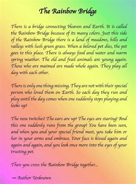 When a beloved pet dies, the pet goes to this place. rainbow bridge pet poem printable - Google Search ...