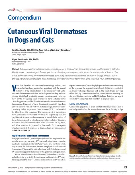 Pdf Cutaneous Viral Dermatoses In Dogs And Cats