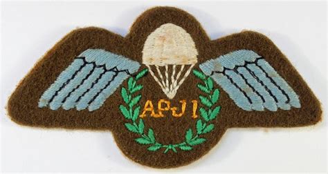Apji Parachute Wings Assistant Parachute Jump Instructor Arm