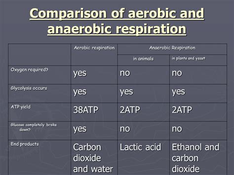 Aerobic and anaerobic metabolism with moderate exertion, carbohydrate undergoes aerobic metabolism. The Role Of Carbohydrate, Fat And Protein As Fuels For Aerobic And Anaerobic Energy Production ...