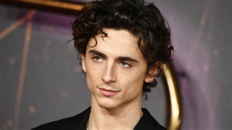 what you don t know about timothée chalamet