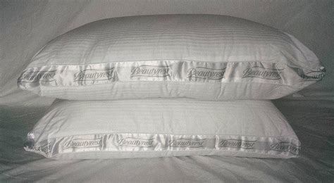 Beautyrest Extra Firm Pillow For Back And Side Sleepers Review The