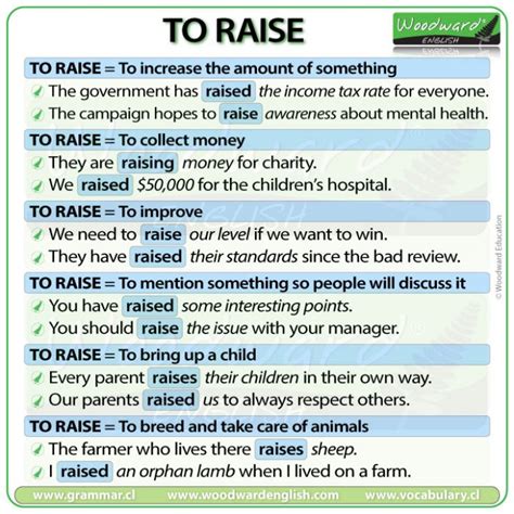 Raise Meanings And Example Sentences In English Woodward English