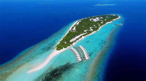 Nature Landscape Trees Forest Island Tropical Sea Beach Aerial