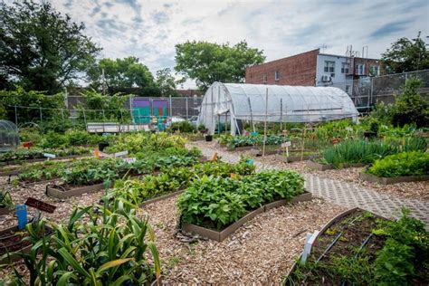 Community Gardens And Sustainability