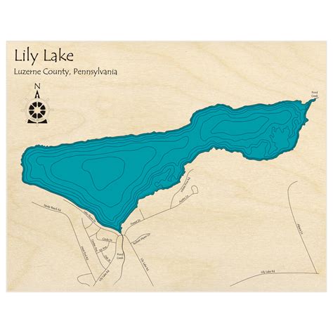 Lily Lake 3d Custom Wood Map Lake Art Llc