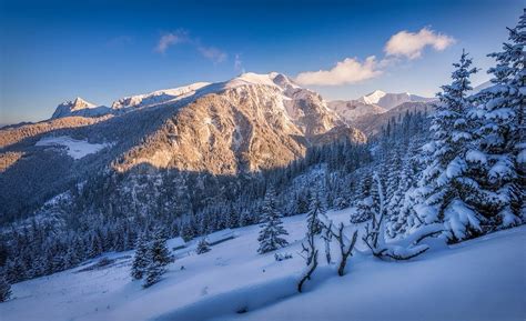 Nature Landscape Winter Snow Mountain Forest Sunset Trees