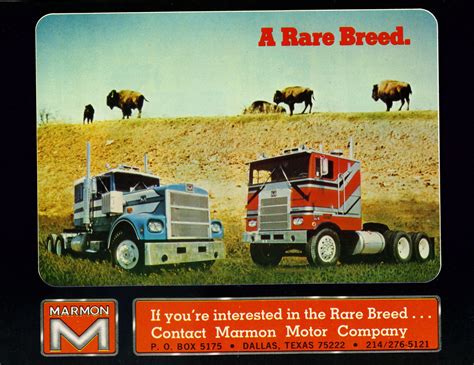 Photo July 1976 Marmon Ad Marmon Advertising Album Dutch Model