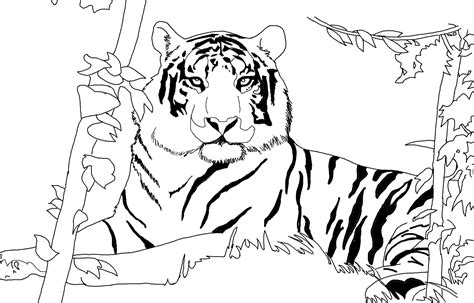 They are some species available in the world such as bengal tiger, caspian tiger, south china tiger, malayan tiger, siberian tiger, white tiger, and indochinese tiger. Lion And Tiger Coloring Pages at GetColorings.com | Free ...