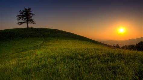 1920x1080 1920x1080 Field Wallpaper Photo Trees Landscapes Grass