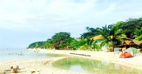 How To Go To Basdakuwhite Beach Moalboal Cebu