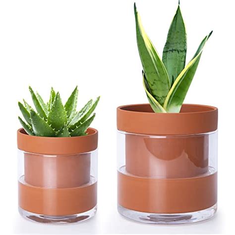 Best Terracotta Self Watering Pots