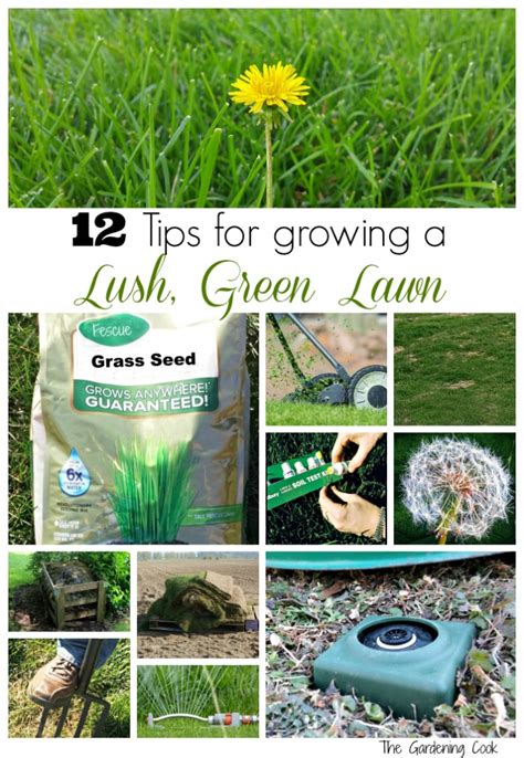 Lawn Care Tips 12 Tricks For A Lush Green Long All Summer
