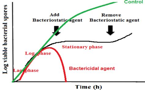 An Illustration For The Effects Of The Bacteriostatic And Bactericidal