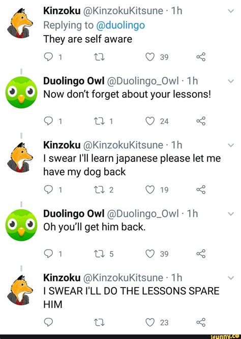 Kinzoku Kinzokukitsune 1h Replying To Duolingo They Are Self Aware Duolingo Owl Duolingo