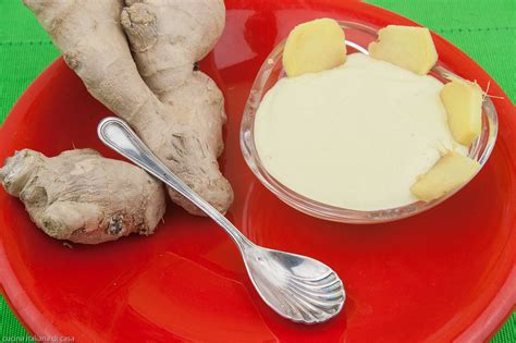 Dolci sfiziosi, primi veloci e secondi light profumati dall'aroma di questa benefica radice. ricetta della salsa light allo zenzero | Ricette di Cucina