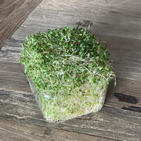 Alfalfa Sprouts 125g No1 Fresh And Organic Supermarket In Singapore