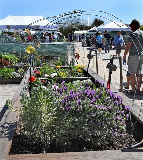 Fountain Hills Community Garden Hosts Grand Reopening Fountain Hills