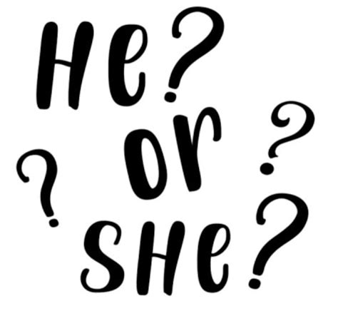 He Or She Svg Etsy