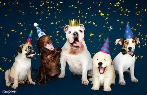 Group Of Puppies Celebrating A New Year Premium Image By