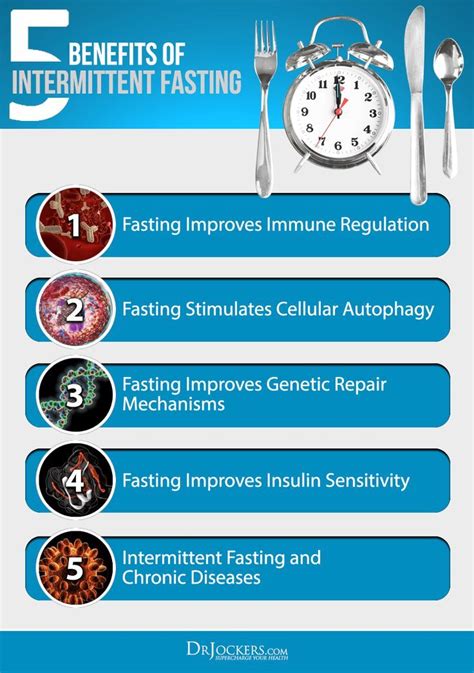 Best Intermittent Fasting Strategies And How To Fast