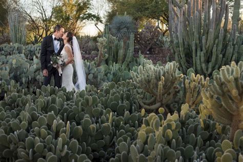 Romance In The Desert Bride And Groom Surrounded By Cactus Phoenix