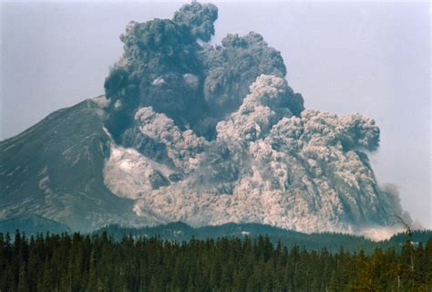 35 Years After Mount St Helens Eruption Nature Returns