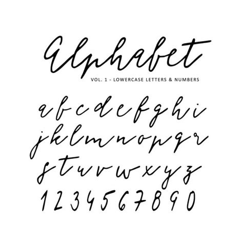 Hand Drawn Vector Alphabet Script Font Isolated Letters Written With