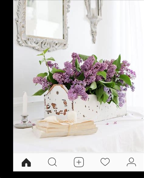 Lilacs Lilac Flowers Home And Garden