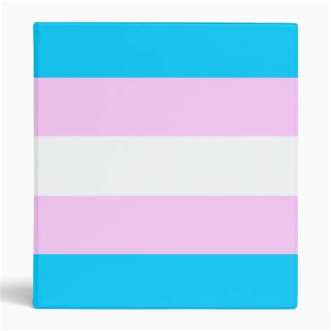 Trans Pride Binder