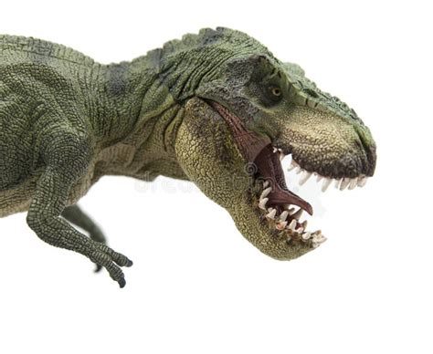 Tiranossauro Rex Foto De Stock Imagem De Jurassic Predator 43783574