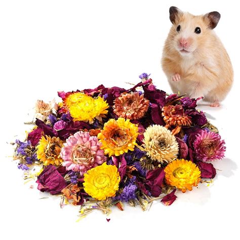 Hamster Bedding Natural Dried Flower Herb Bedding Decorative Bedding