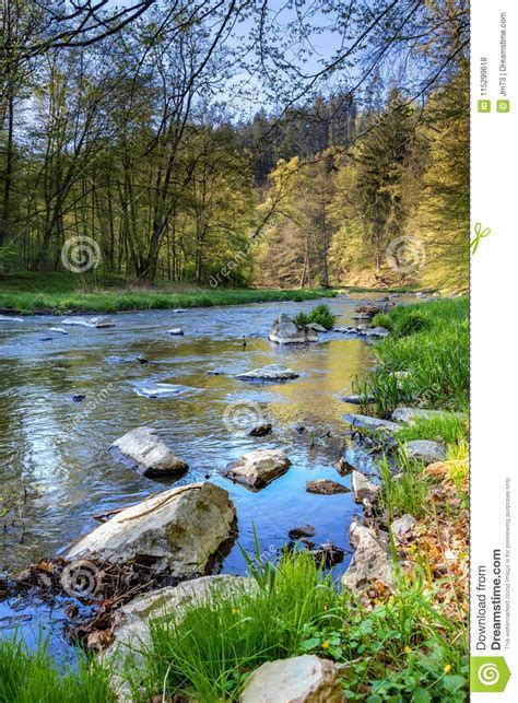 Beautiful Scenery Of Spring Landscape With River And