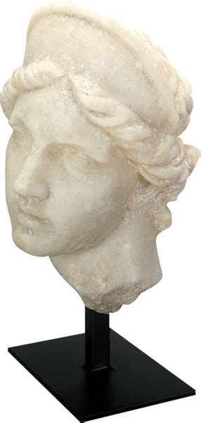 Aphrodite Bust On Museum Base Statue