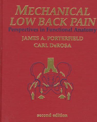 Mechanical Low Back Pain Perspectives In Functional Anatomy Porterfield Pt Ma Atc James A