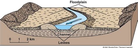 Floodplains Levees And Estuaries Rossett Geography Department