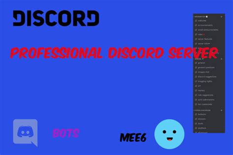 Make You A Professional Discord Server By Jalbertgaming