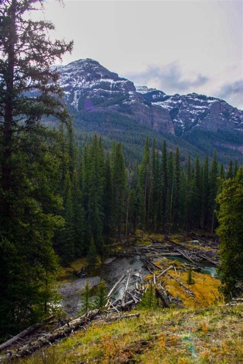 Fall Into Wyoming7 Of Our Favorite Spots To View Wyoming Fall Foliage