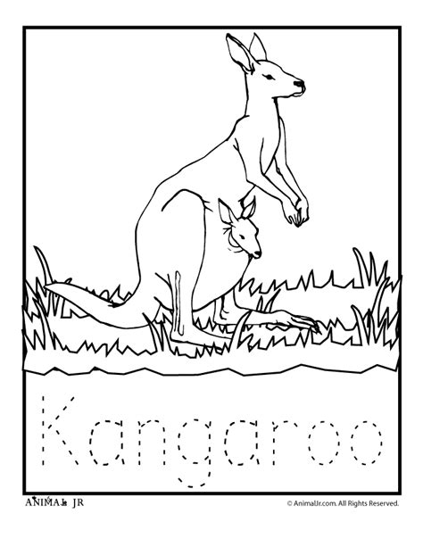 Kangaroo carrying baby kangaroo coloring page netart. K is for Kangaroo Coloring Page | Woo! Jr. Kids Activities