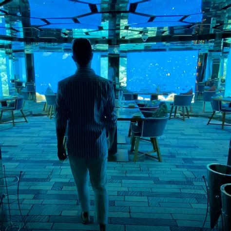 Stunning Underwater Restaurant Lets You Dine With Marine Life In The