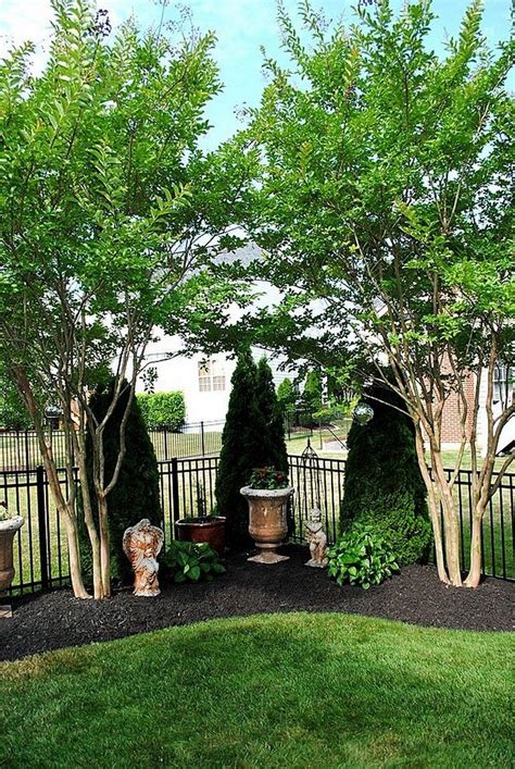 47 Cheap Privacy Landscaping Ideas Backyard Landscaping Designs