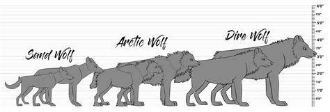 Ancient Origins Wolf Size Chart By Ancientoriginsstaff On Deviantart