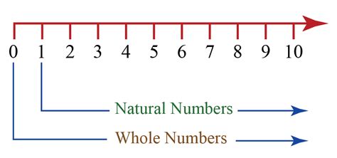 Whole Numbers Integers What Is Whole Numbers Definitions Cuemath
