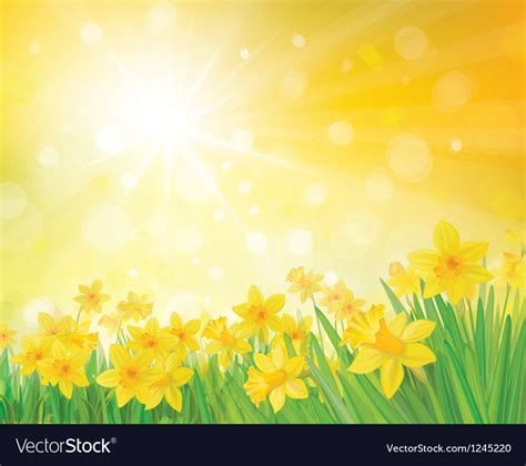 Daffodil Flowers On Spring Background Royalty Free Vector