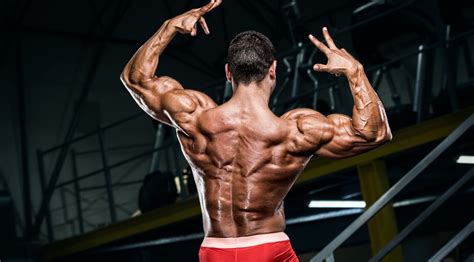The 8 Worst Things You Can Do To Build A Bigger Back Muscle And Fitness