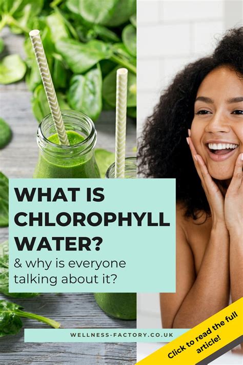 What Is Chlorophyll Water And Why Is Everyone Talking About It In 2021 Chlorophyll Benefits