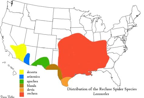 Brown Recluse Spider Map