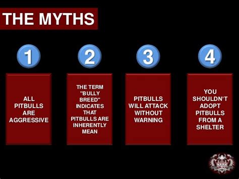 The Top 4 Myths About Owning A Pitbull