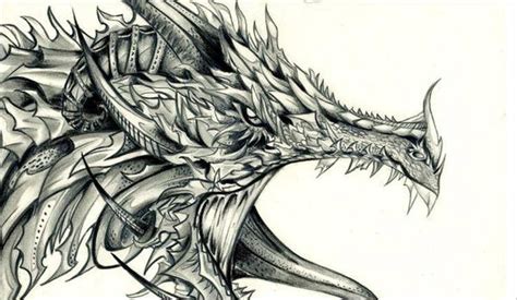 31 Dragon Drawing Designs Free Download Creative Template