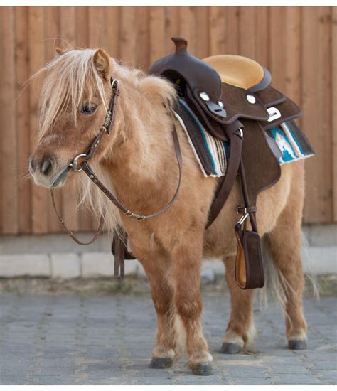 Saddle Western Shetland Pony Full Ubicaciondepersonascdmxgobmx